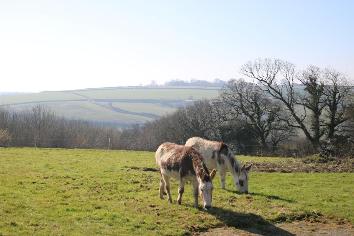 Award Winning Lower Whitsleigh Farm Cottage Roborough Luaran gambar